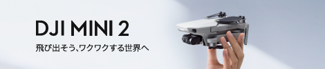 DJI MINI 2